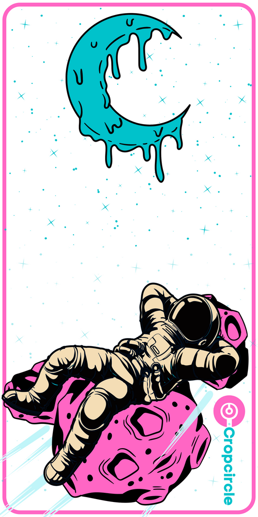 Stargazer PRO BOARDS